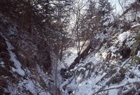 Winter gully.