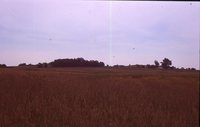 Larry Braby's Farm Before and After a Wetland Construction Project.