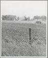 Working in the fields