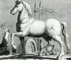 Illustration of horse, 1975