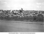 Men on pile of boulders, Forest City township, Iowa, July 4, 1925