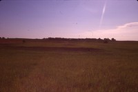 Ada Orr Wetland Area.