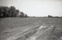 Drainage pipes in ground 