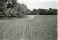 1995  Proposed Terracing Project site on Dale Edmonds' farm