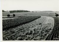 Farley Henkes farm, 1937