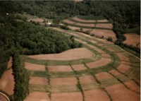 Paul Frantzen farmland