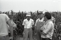 1978  No-till corn tour