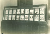 Butterflies displayed in the Museum of Natural History in Macbride Hall, the University of Iowa, 1950s?