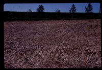 No Till Crops on Jared Herbert's Farm.