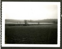 Flooded Field
