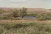 Miles Brown Farm