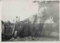 Man on truck Next to Cut Tree