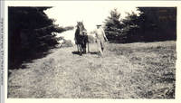 John Heitzman leading horse
