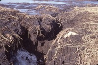 Simonsen-Rupp farmland in winter.