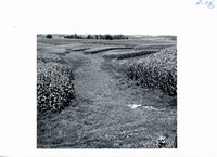 Good sod waterway for runoff, 1967