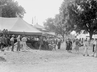 Whiteside County Fair Shots