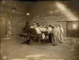 Veterinary medical procedure demonstration, 1913