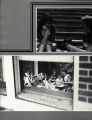 1982 Yearbook