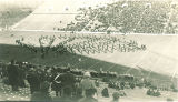 Marching band and Scottish Highlanders performance at football game, The University of Iowa, October 1938