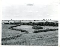 Conservation practices