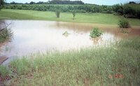 Water runoff drainage area in fields