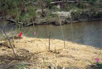 1999 Flint Creek Work Day  on Richard Osborn's property
