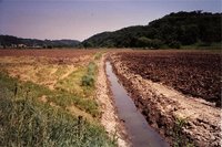 Trench area on Ed Dunn agricultural land, 2001