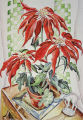 Poinsettia