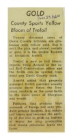1964 - County Sports Yellow Bloom of Trefoil