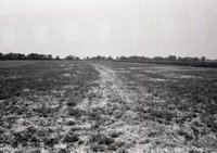 Photos of Pasture Land