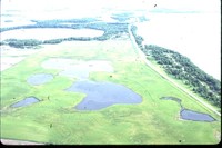 Bedell Tract.