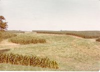 Strip Cropping in Maquoketa