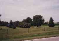 Green Pasture with Fence and trees