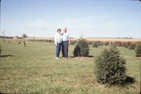 Windbreak on the farm of Don and Phyllis Conley.