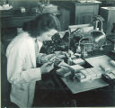 Woman inspecting a small box of plant specimens, The University of Iowa, 1950s