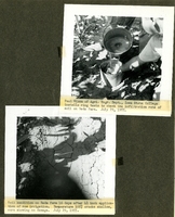 0237.   Beda Farm Soil Tests 