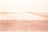 Fenced farmland with Water in the Field