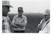1978  No-till corn tour