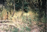J.E. Goodenow REAP project, 1991