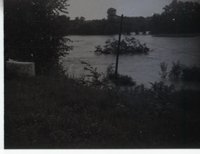 Unidentified Black and White Photo Negatives Showing Rural Scenes