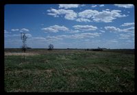 Wetland Area on Henry Hanby's Farm.