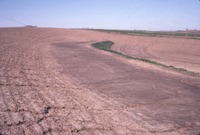 Terraced field, 1986