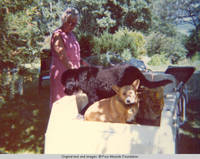 Elizabeth with dogs, Sadie and Victoria in the back of golf cart 