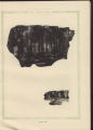1921 Yearbook