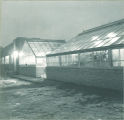 Greenhouse exterior at night, The University of Iowa, 1940s