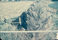 Large gully.