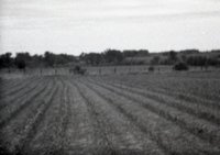 Miscellaneous Views of Crop Land