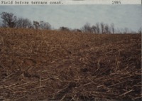 Field before terrace construction.