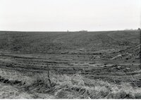 Muddy field