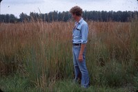 Indian grass in the DeSoto bend.